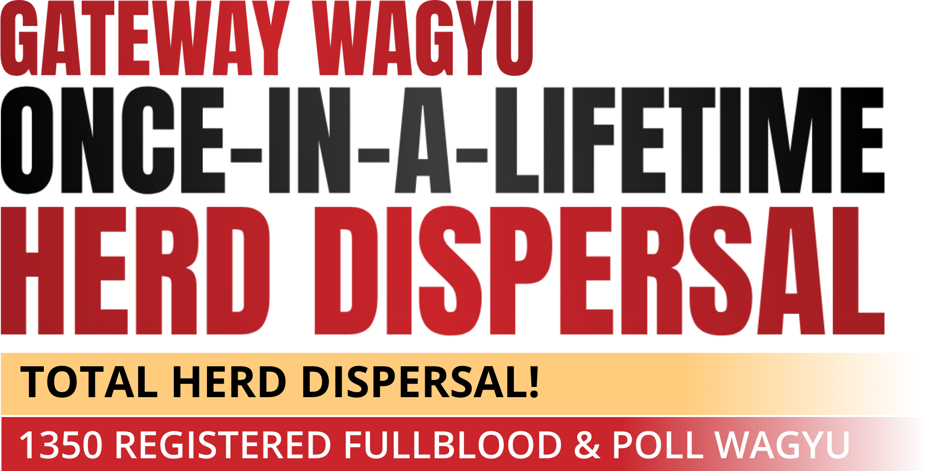 gateway-wagyu-dispersal-colored