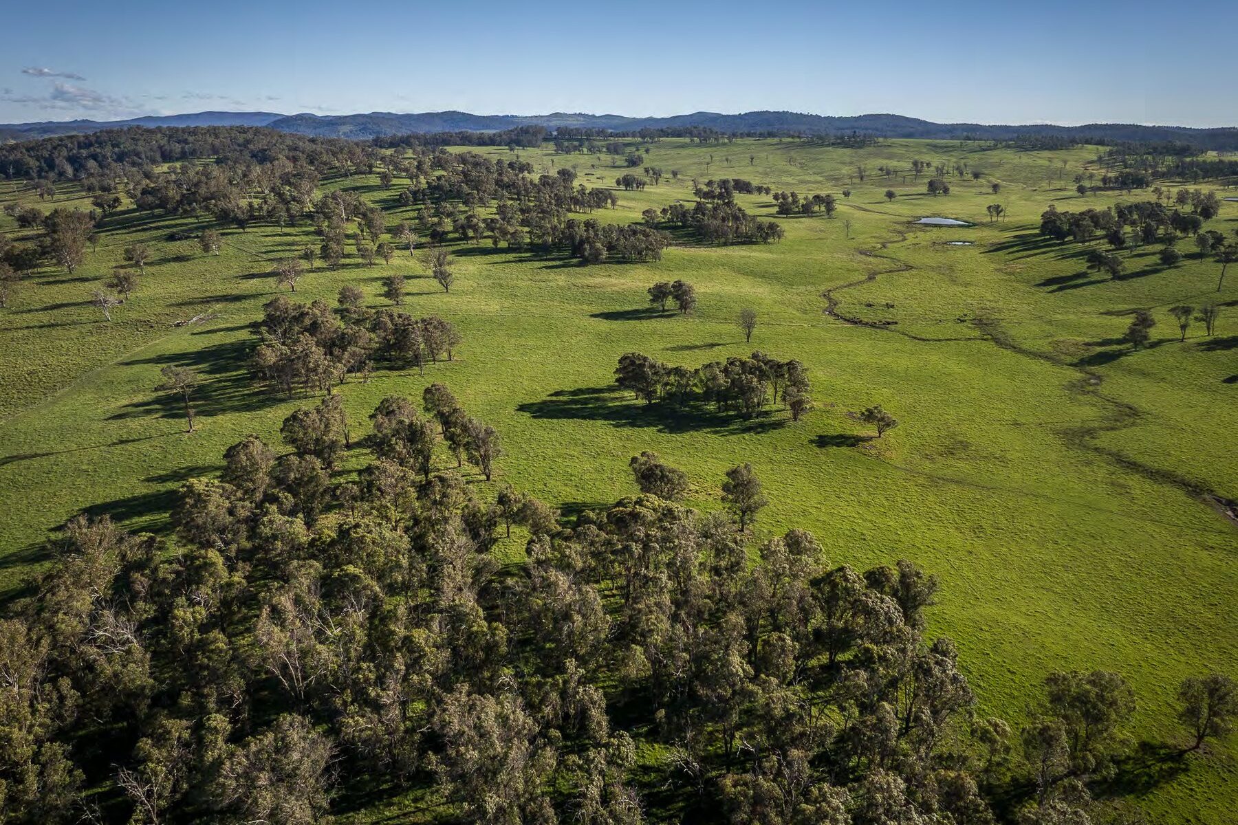 Grazing country running out to the ranges