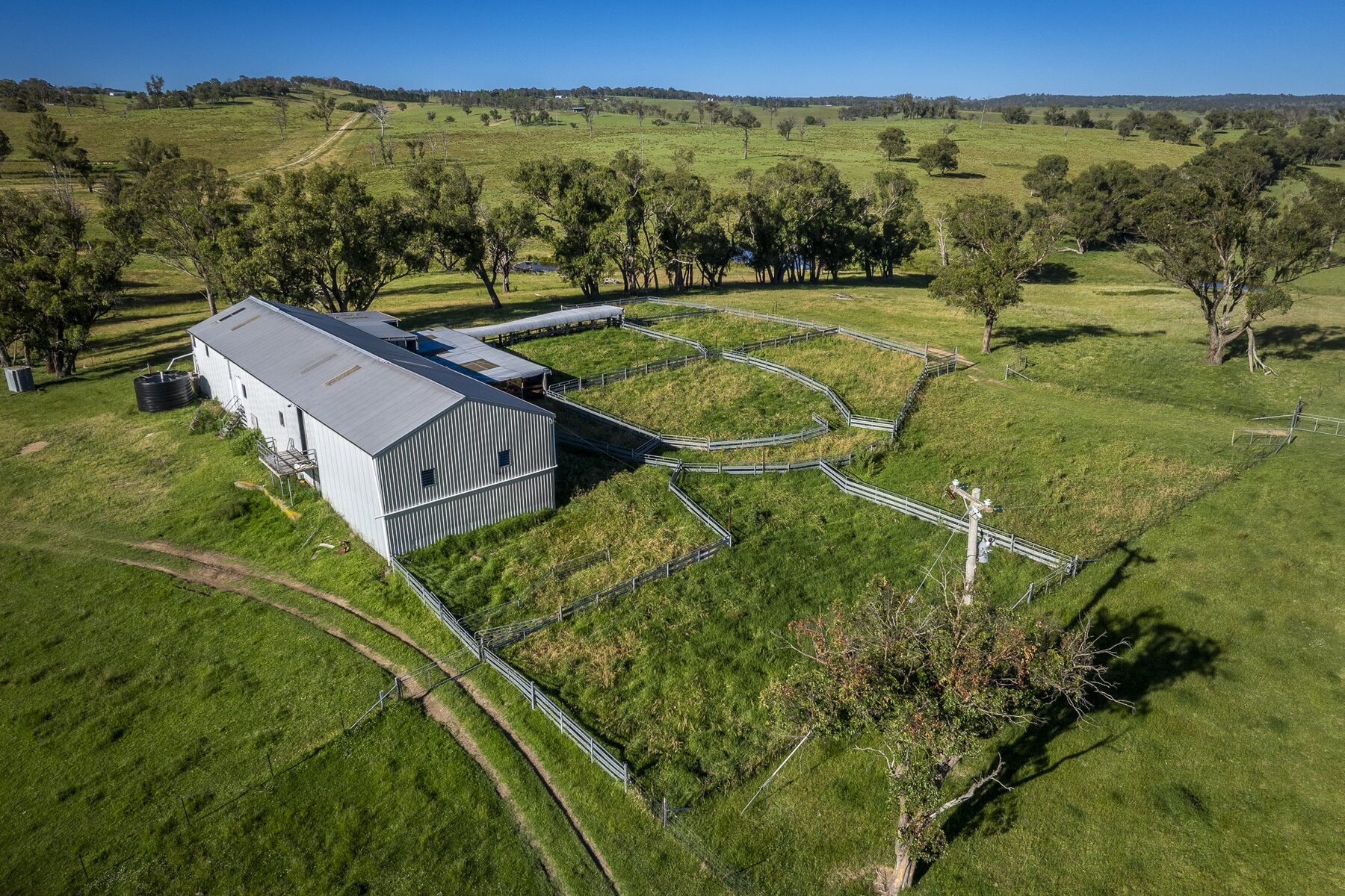 The four stand woolshed and sheep yards
